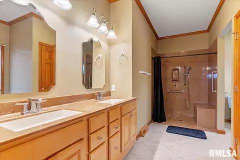 519 Eagle Ridge Dr, Chatham, IL 62629 photo 15
