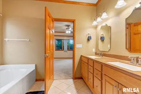 519 Eagle Ridge Dr, Chatham, IL 62629 photo 17