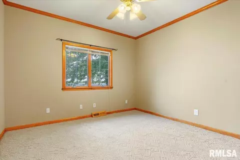 519 Eagle Ridge Dr, Chatham, IL 62629 photo 22