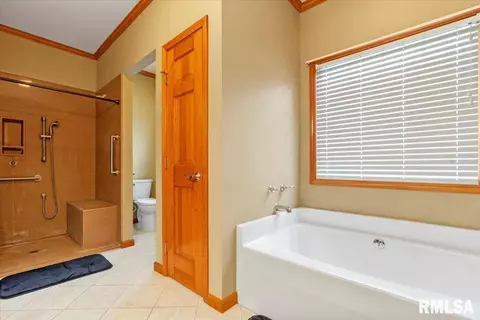 519 Eagle Ridge Dr, Chatham, IL 62629 photo 16