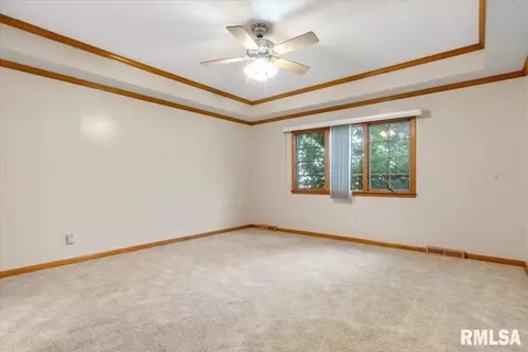 519 Eagle Ridge Dr, Chatham, IL 62629 photo 14