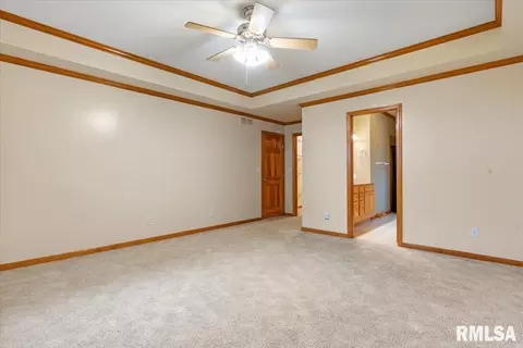 519 Eagle Ridge Dr, Chatham, IL 62629 photo 13