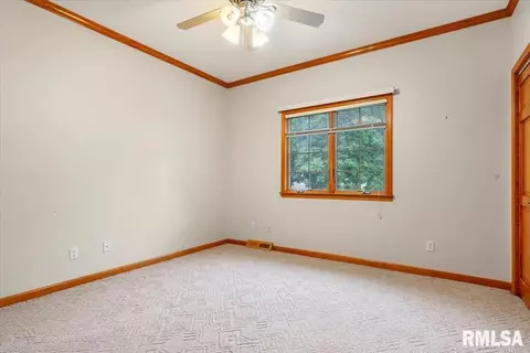 519 Eagle Ridge Dr, Chatham, IL 62629 photo 20