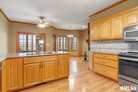 519 Eagle Ridge Dr, Chatham, IL 62629 photo 8