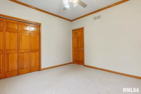 519 Eagle Ridge Dr, Chatham, IL 62629 photo 19