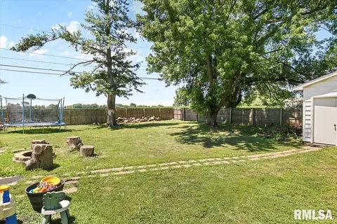 Exterior - 521 W Wright St, Virden, IL 62690 photo 6 of 8