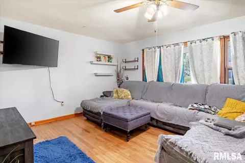 Other - 521 W Wright St, Virden, IL 62690 photo 5 of 13