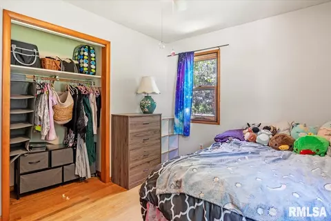 Other - 521 W Wright St, Virden, IL 62690 photo 9 of 13