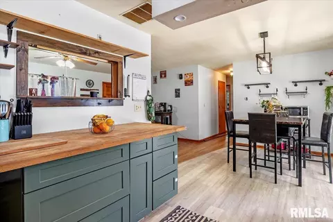 Other - 521 W Wright St, Virden, IL 62690 photo 8 of 13