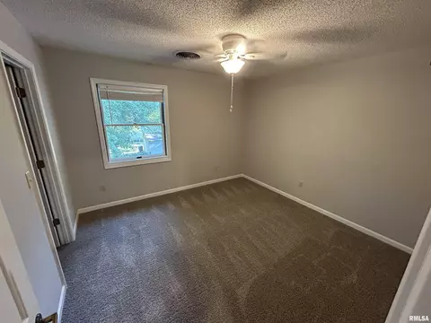 2540 W Soleil Ave, Springfield, IL 62704 photo 23