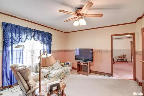 411 W 3rd St, Assumption, IL 62510 photo 31