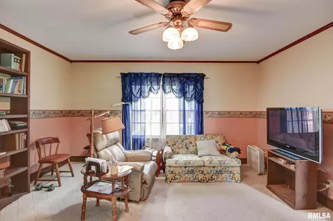 411 W 3rd St, Assumption, IL 62510 photo 5