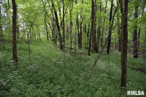 755 Mount Pleasant Rd, Buncombe, IL 62912 photo 33