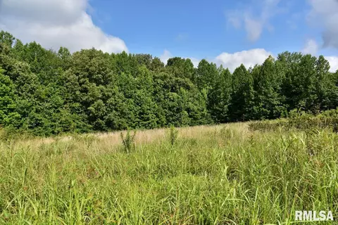 755 Mount Pleasant Rd, Buncombe, IL 62912 photo 29