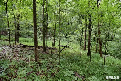 755 Mount Pleasant Rd, Buncombe, IL 62912 photo 36