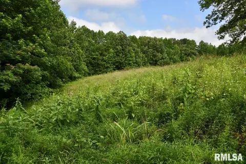755 Mount Pleasant Rd, Buncombe, IL 62912 photo 31