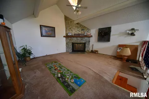 755 Mount Pleasant Rd, Buncombe, IL 62912 photo 12