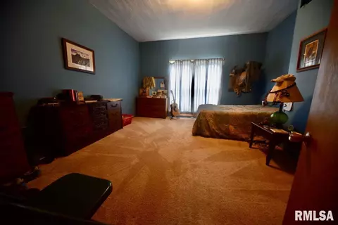755 Mount Pleasant Rd, Buncombe, IL 62912 photo 13