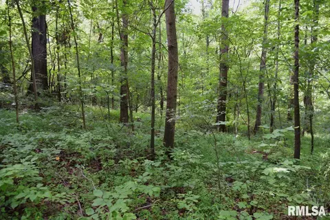 755 Mount Pleasant Rd, Buncombe, IL 62912 photo 34