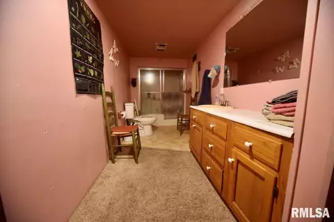 755 Mount Pleasant Rd, Buncombe, IL 62912 photo 14
