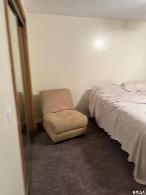 2521 Shadow Chaser Dr, Springfield, IL 62711 photo 34