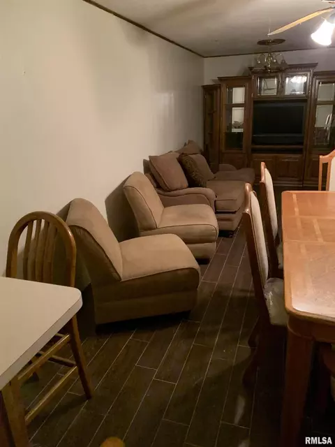2521 Shadow Chaser Dr, Springfield, IL 62711 photo 43