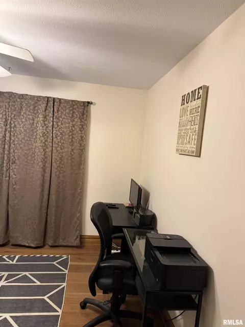2521 Shadow Chaser Dr, Springfield, IL 62711 photo 44