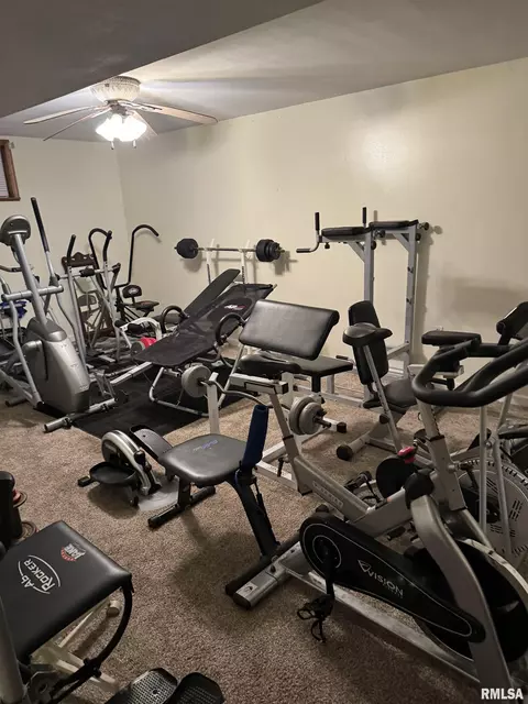 2521 Shadow Chaser Dr, Springfield, IL 62711 photo 41