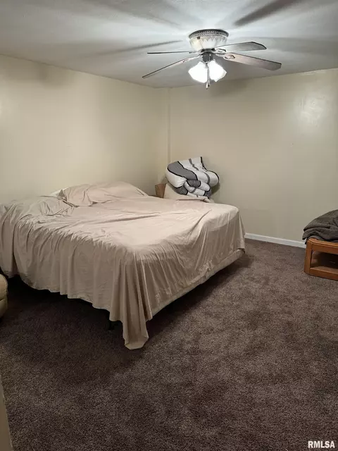 2521 Shadow Chaser Dr, Springfield, IL 62711 photo 35