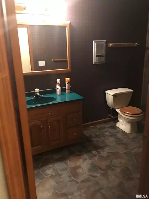 2521 Shadow Chaser Dr, Springfield, IL 62711 photo 37