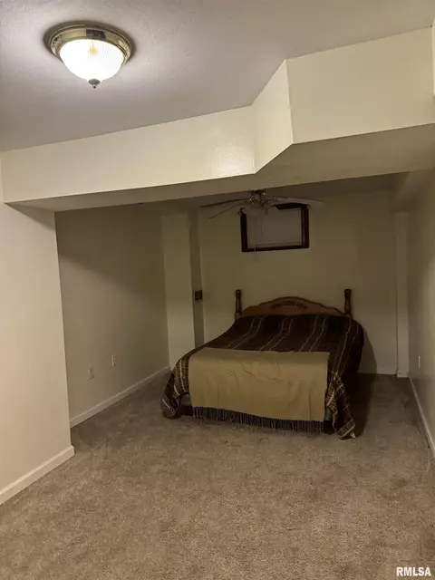 2521 Shadow Chaser Dr, Springfield, IL 62711 photo 33