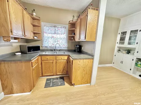 102 E Lower St, Abingdon, IL 61410 photo 7