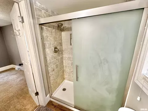 102 E Lower St, Abingdon, IL 61410 photo 17