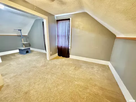 102 E Lower St, Abingdon, IL 61410 photo 21