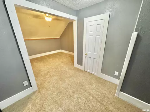 102 E Lower St, Abingdon, IL 61410 photo 18
