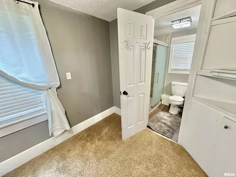 102 E Lower St, Abingdon, IL 61410 photo 15