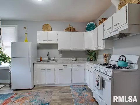 521 Wood Ave, Springfield, IL 62702 photo 9