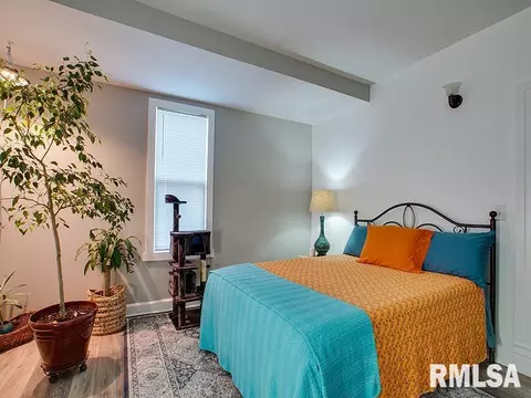 521 Wood Ave, Springfield, IL 62702 photo 13