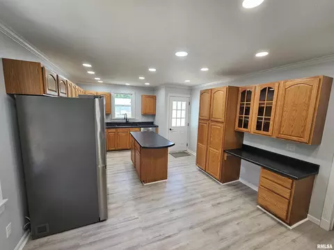 1149 W Elliott Ave, Springfield, IL 62702 photo 6