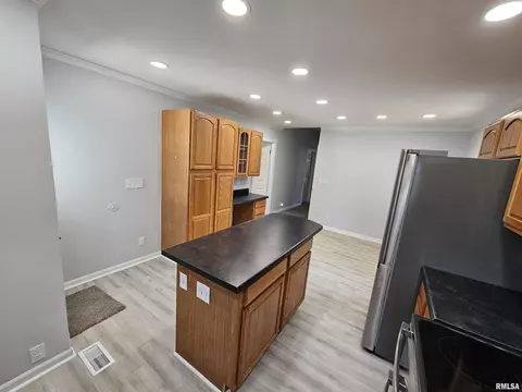1149 W Elliott Ave, Springfield, IL 62702 photo 8