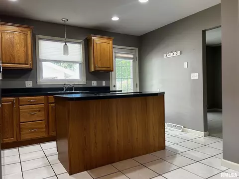 3152 Elmhurst Dr, Springfield, IL 62704 photo 8