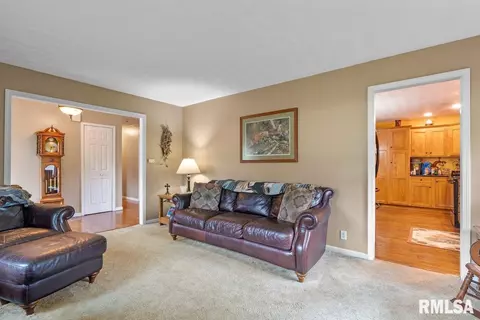 4584 Spaulding Orchard Rd, Springfield, IL 62711 photo 11