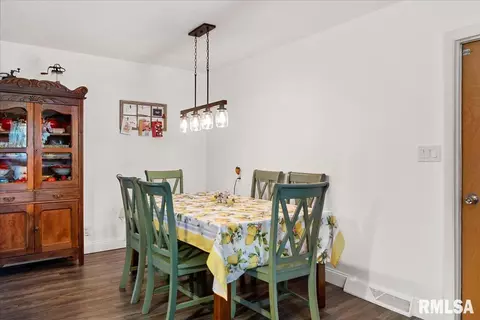711 E Camp Sangamo Rd, Springfield, IL 62707 photo 16