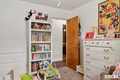 711 E Camp Sangamo Rd, Springfield, IL 62707 photo 27