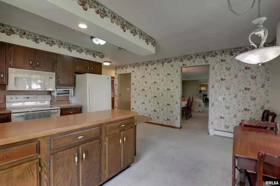 203 Quincy St, Golden, IL 62339 photo 10