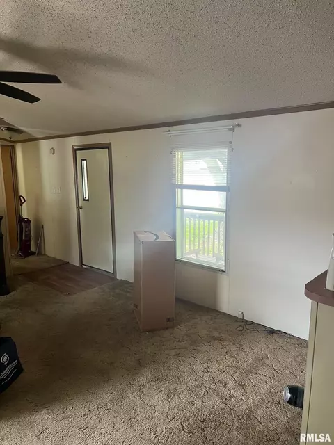 102 E Main St, Bath, IL 62617 photo 24