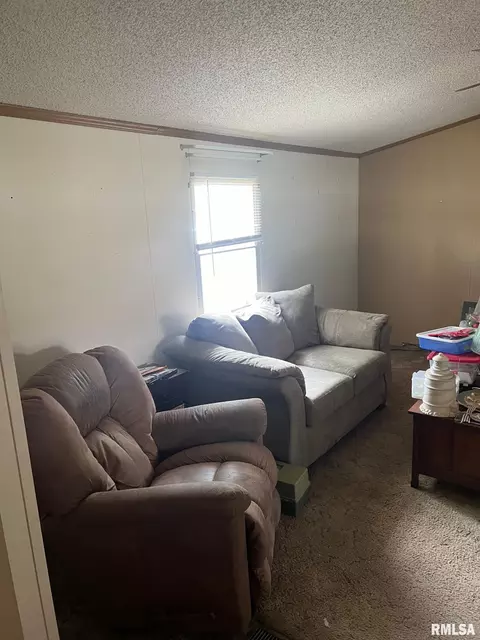 102 E Main St, Bath, IL 62617 photo 23