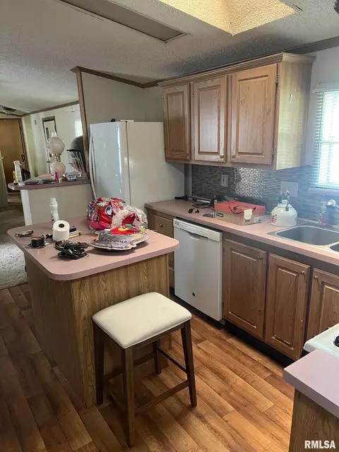 102 E Main St, Bath, IL 62617 photo 18