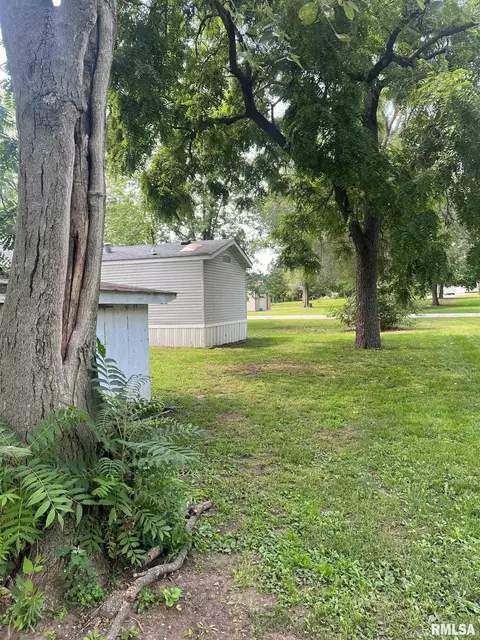 102 E Main St, Bath, IL 62617 photo 14