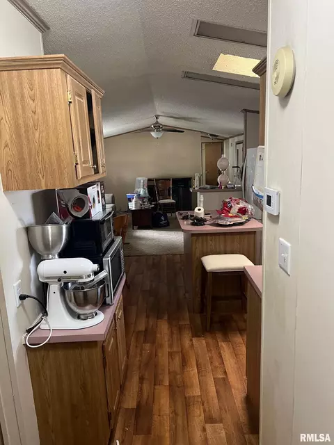 102 E Main St, Bath, IL 62617 photo 21